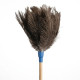Feather Duster